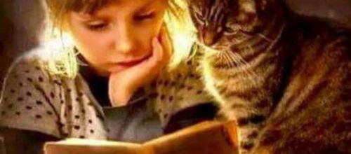 Le nez dans un livre