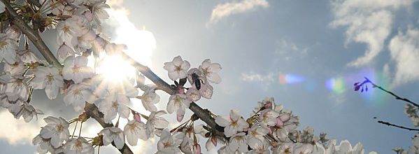 HISTOIRE DE BIQUETTES
