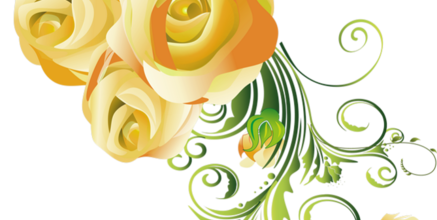 ✿*ﾟYellow flowers