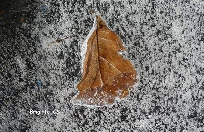 Quand Dame Nature réalise des oeuvres d'art qui pétillent...