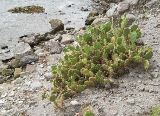 Poème de Claude Roy (septembre)