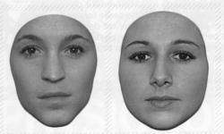 La reconnaissance des visages par le cerveau (1).