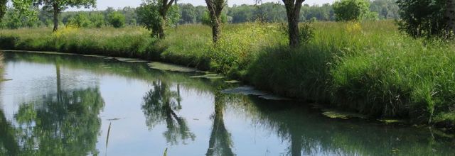 Reflets en Mai (dept17)  défi