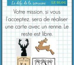 Passion Cartes Créatives #419