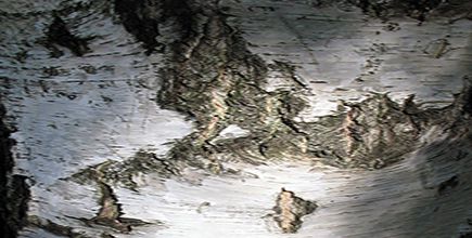 Hésitation aux paysages