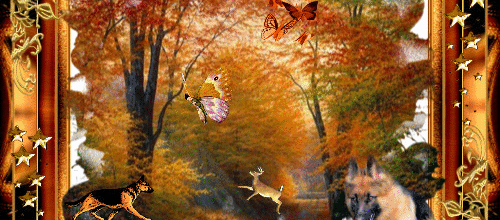 CREA CADRE AUTOMNE