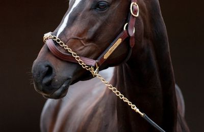 CHEVAL