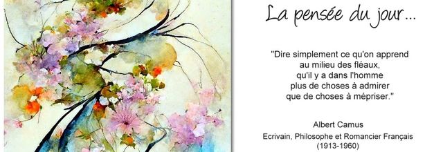 La pensée du jour (267)