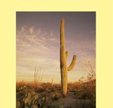 [Descargar pdf] LECHE CALIENTE
