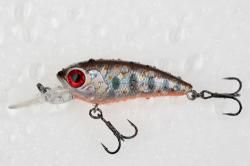 LE BOTTOM BOUCER de chez USAMI