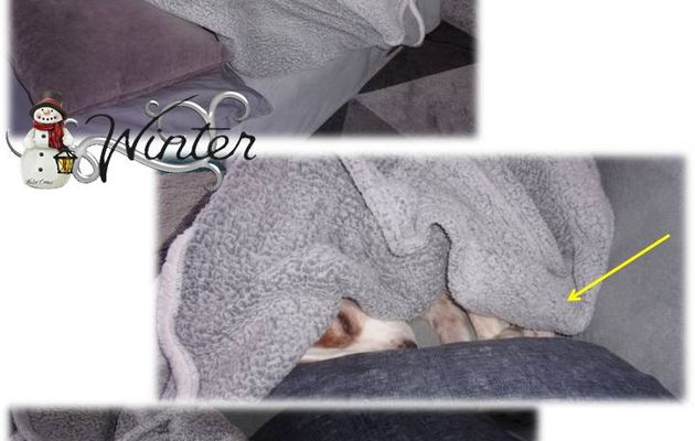 Nouvelles Emy - J'ai joué à cache cache