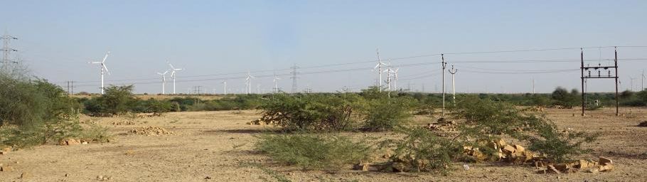 Carnet de voyage au Rajasthan ~ Dans le Désert du Thar