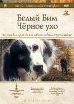SAMEDI 23 MARS 2024 à 15h: Bim, chien Blanc à l’oreille noire