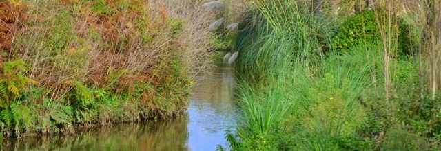  Eaux  dormantes 
