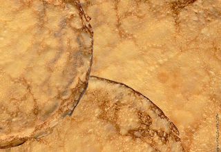 FAITES SAUTER VOS CREPES - CHANDELEUR