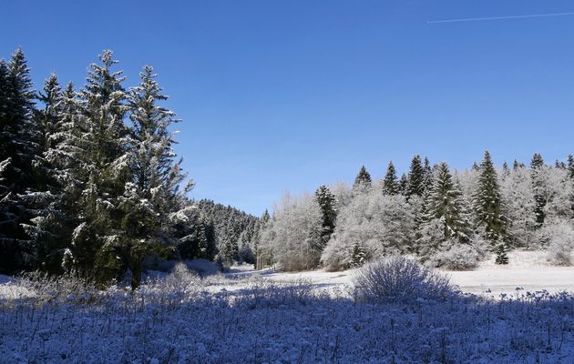 Le 17 décembre : Balade du matin à la Praille