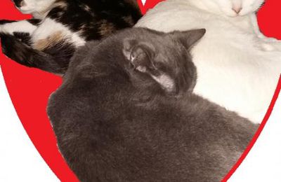 Mes amours à moi