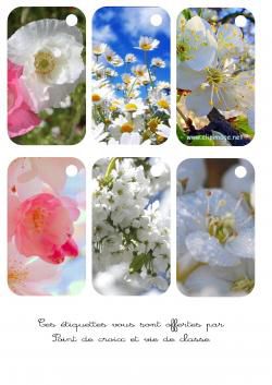 Cartonnettes fleurs à imprimer