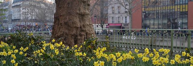 Le printemps du Canal Saint-Martin
