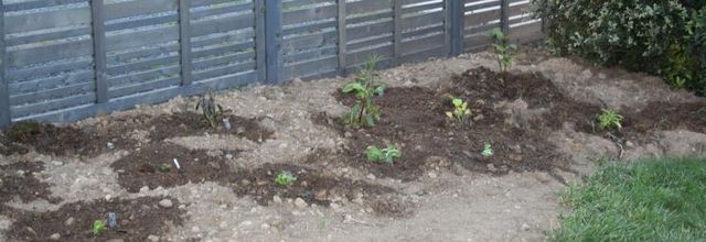 Le massif du parking