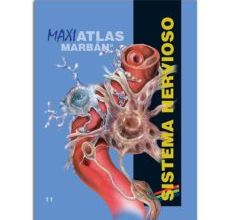 Los mejores libros descargar gratis kindle SISTEMA NERVIOSO (MAXI ATLAS 11) de  en español 9788417184155