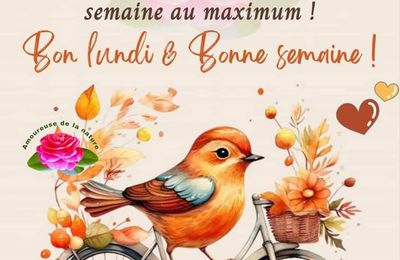 Coucou