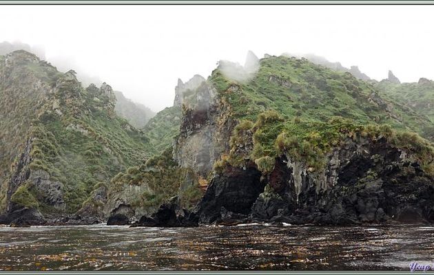 Dell Rocks (The Glen) - Quest Bay - Gough Island - Tristan da Cunha