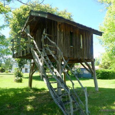 La cabane tchanquée