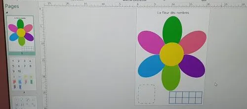 La fleur des nombres MHM format A4