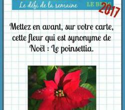 Passion Cartes Créatives#512 !