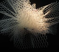 Noeuds, liens, ligatures...