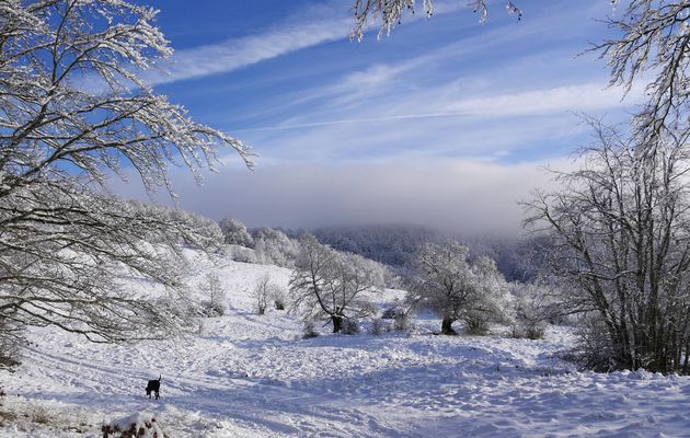 Le 17 décembre : Balade de l'après-midi aux Plans d'Hotonnes
