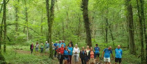 CR RANDO VELAINE DU 31/07/2023