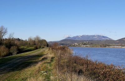 Le 15 décembre 2023 : Le long du canal du Rhône.