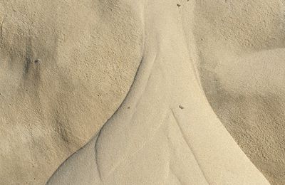 Une larme de dune