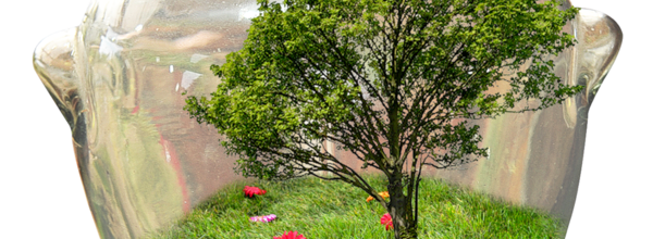 ѼVegetation