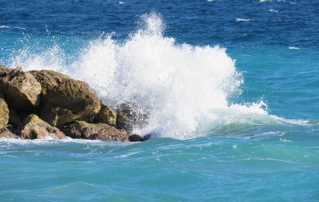 une vague bleue ...