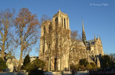 Histoire de Notre-Dame de Paris et une petite question ...