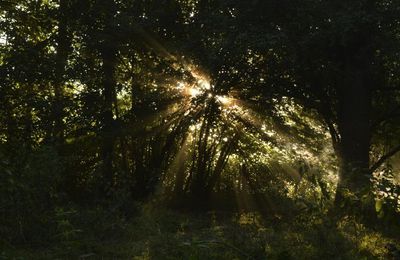 énergie Solaire 