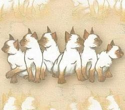 Quelques légendes .......