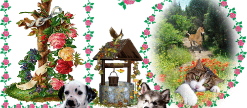 CADRE ANIMAUX OISEAUX FLEURS