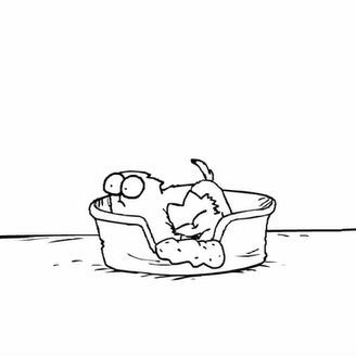 Simon's Cat - Catnap