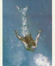 Le Petit Poisson d'Or - 7/7
