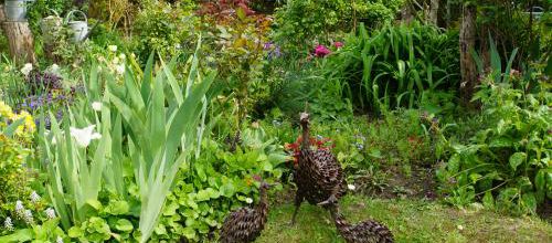 Le petit jardin de Saint Fiacre