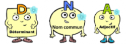 C3 - groupe nominal