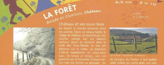 Château - la forêt