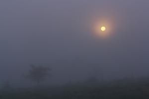 Pleine Lune de novembre