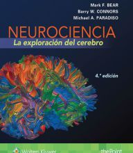 Spanish ebook free download Neurociencia. La exploración del cerebro (English literature) CHM 9788416353613 by Mark F. Bear, Michael A. Paradiso, Barry W. Connors