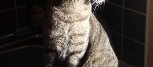 Ma photo préférée du 01 décembre