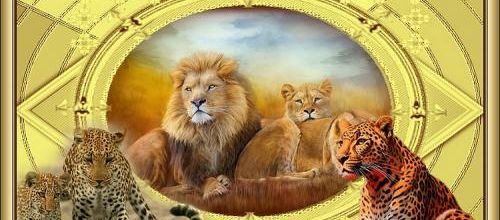 La Savane .